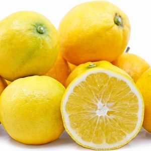 Citrus limon x reticulata