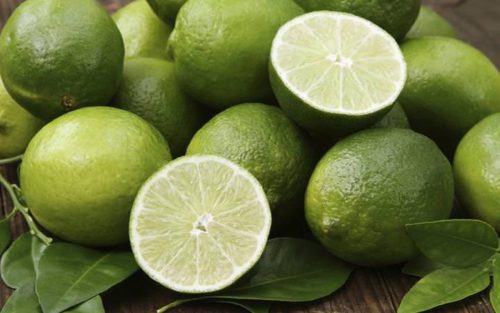 Citrus x latifolia, Tahitian