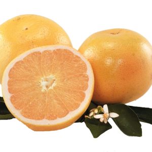 Citrus x paradisi, Golden Special