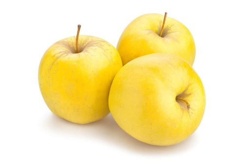Malus domestica, Golden Delicious