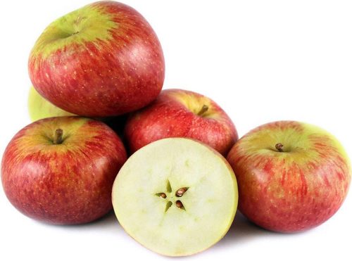 Malus domestica Royal Gala/Braeburn - Image 2