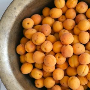 Prunus armeniaca, Sundrop