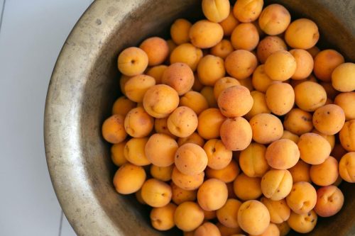 Prunus armeniaca, Sundrop