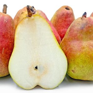 Pyrus communis ‘Doyenné du Comice/Conference