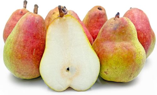 Pyrus communis ‘Doyenné du Comice/Conference