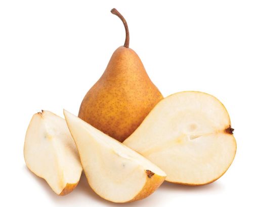Pyrus communis ‘Taylor’s Gold’